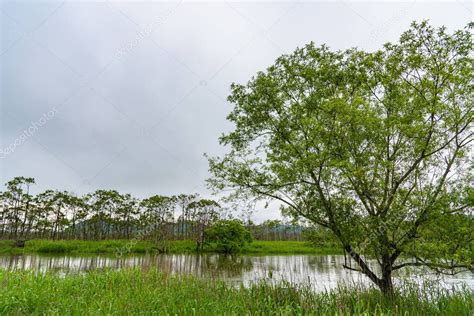 大塩湿地：広大な自然と貴重な鳥類の楽園へ！